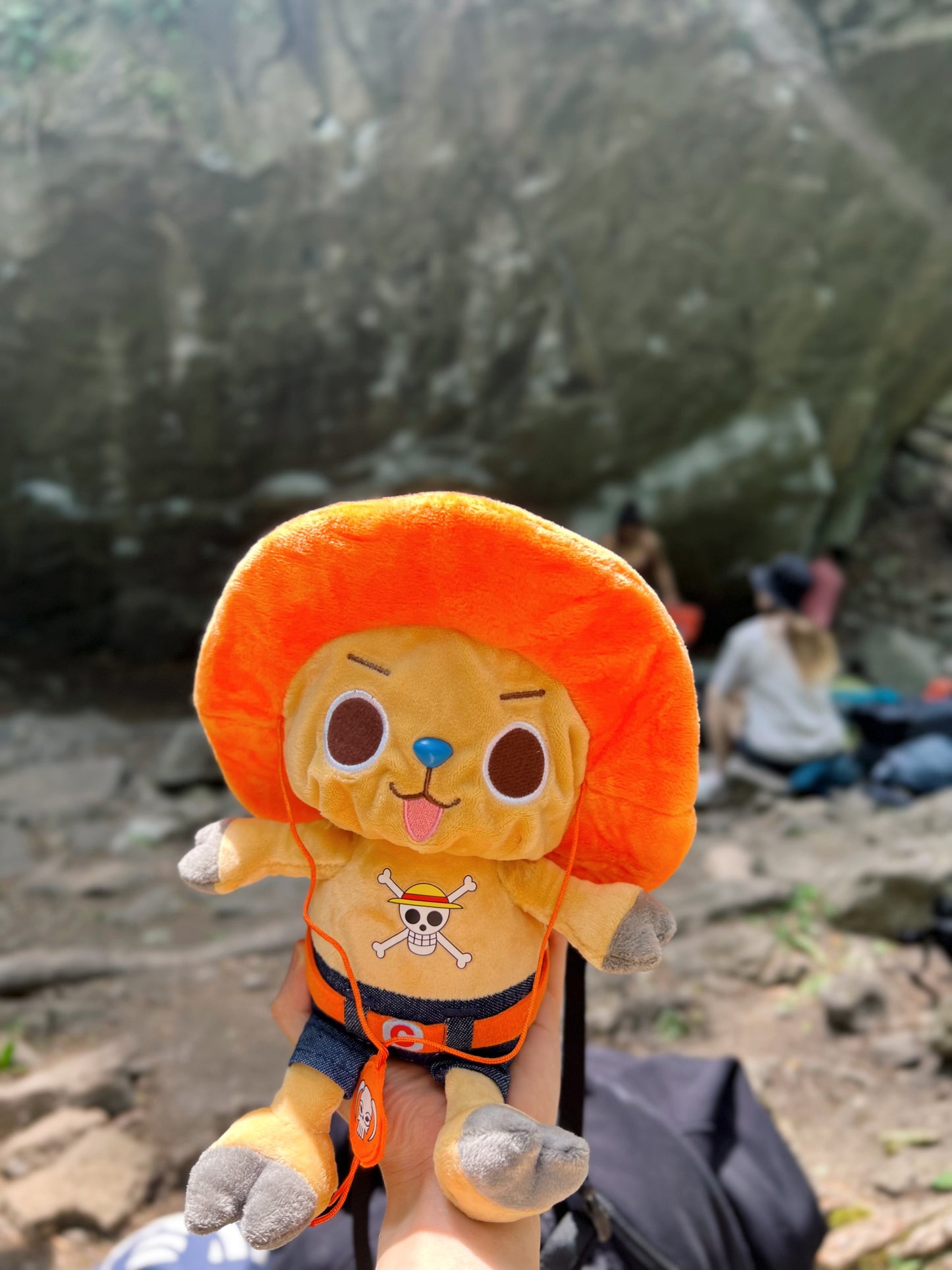 cute one piece Chopper plush chalkbag for rock climbing