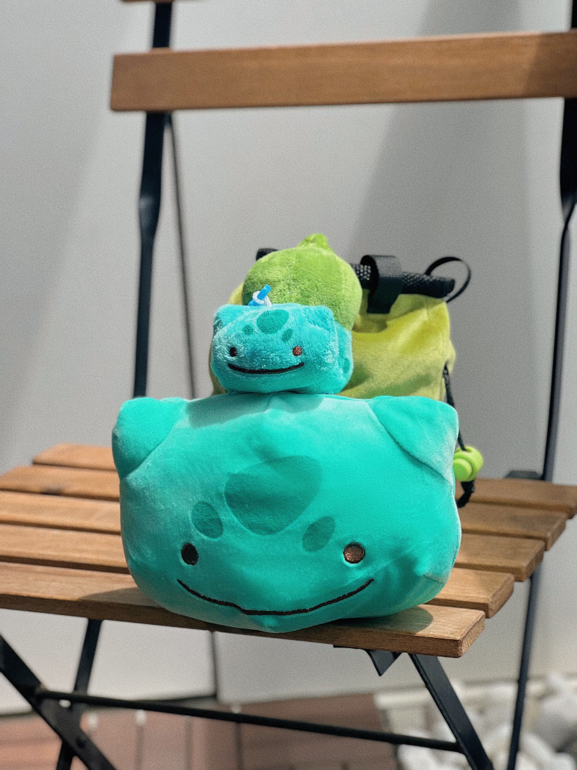 pokemon bulbasaur Ditto cute chalk bag for rock climbing