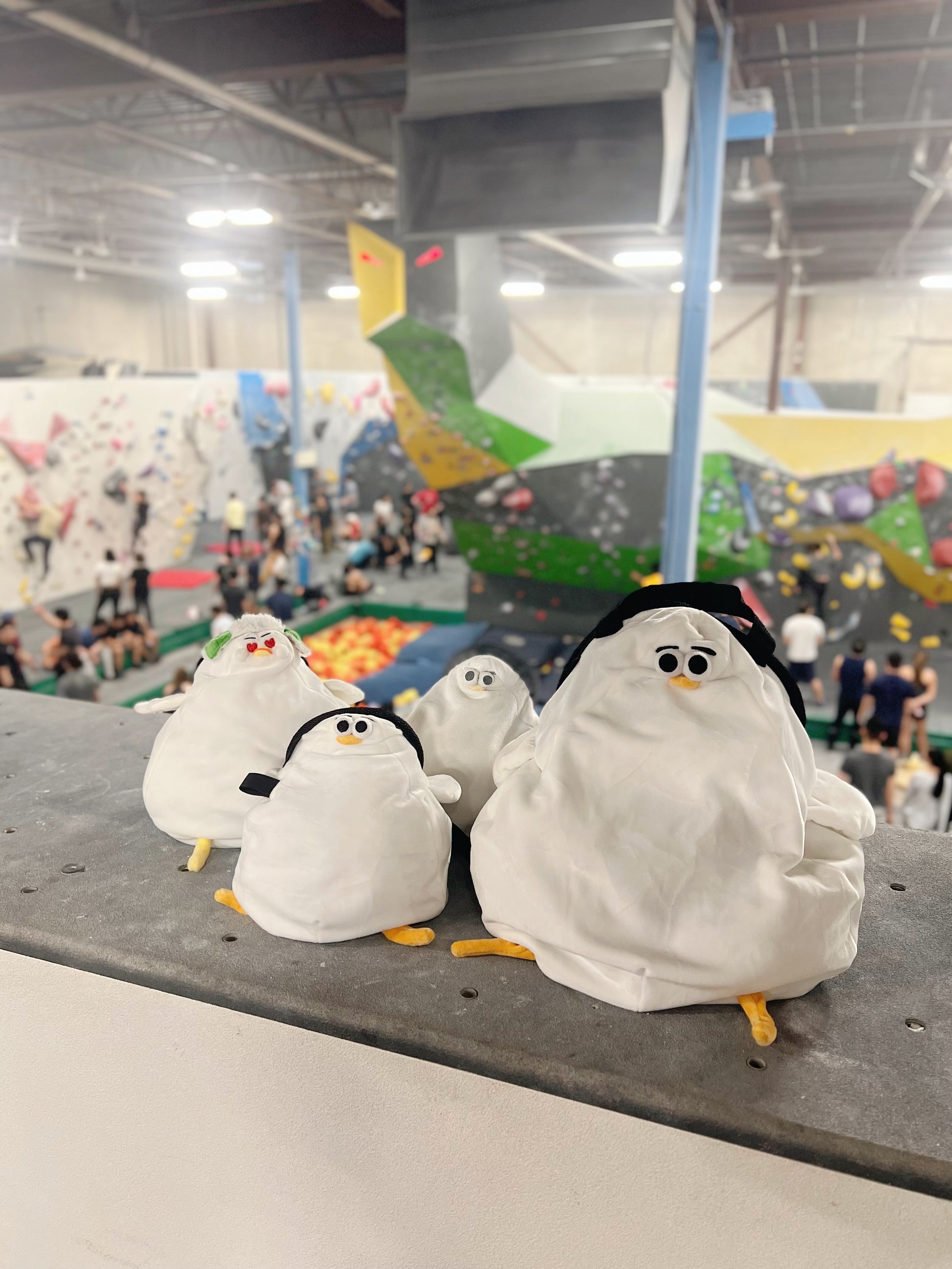 Cute animal anime Chubby Seagull Mr.Oddy chalk bag for rock climbing