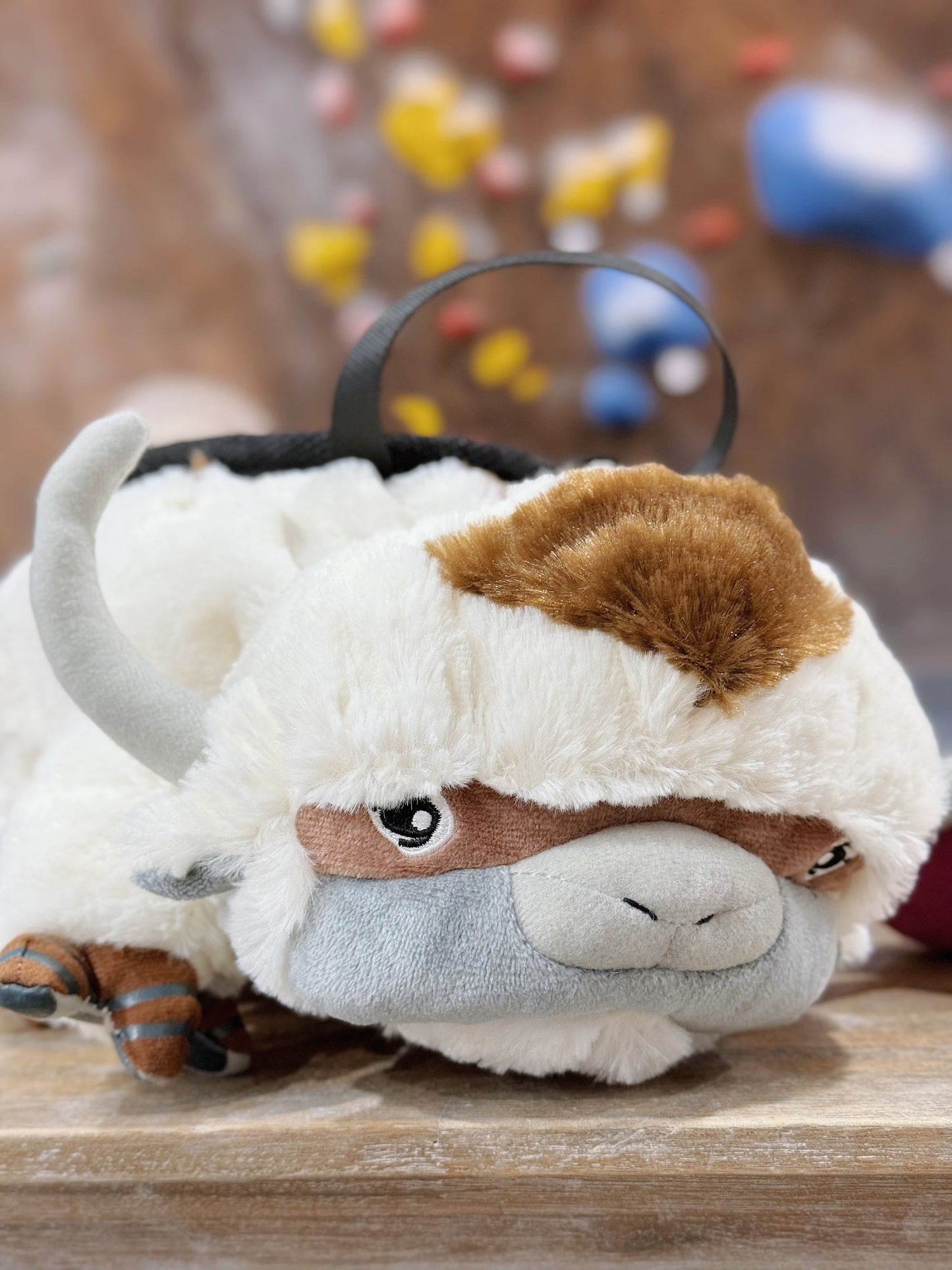 Appa Chalk Bag/Bouldering Bag