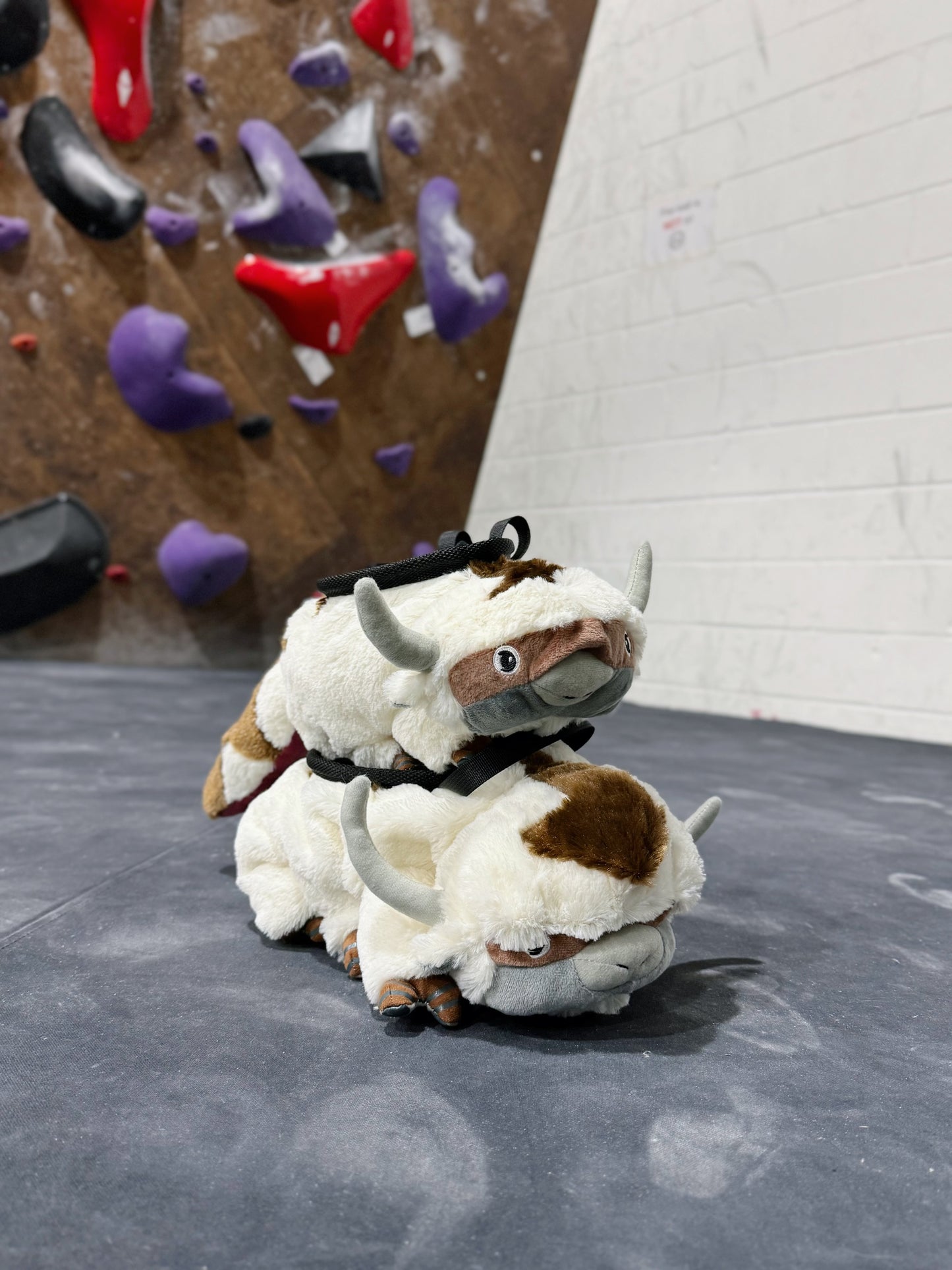 Appa Chalk Bag/Bouldering Bag