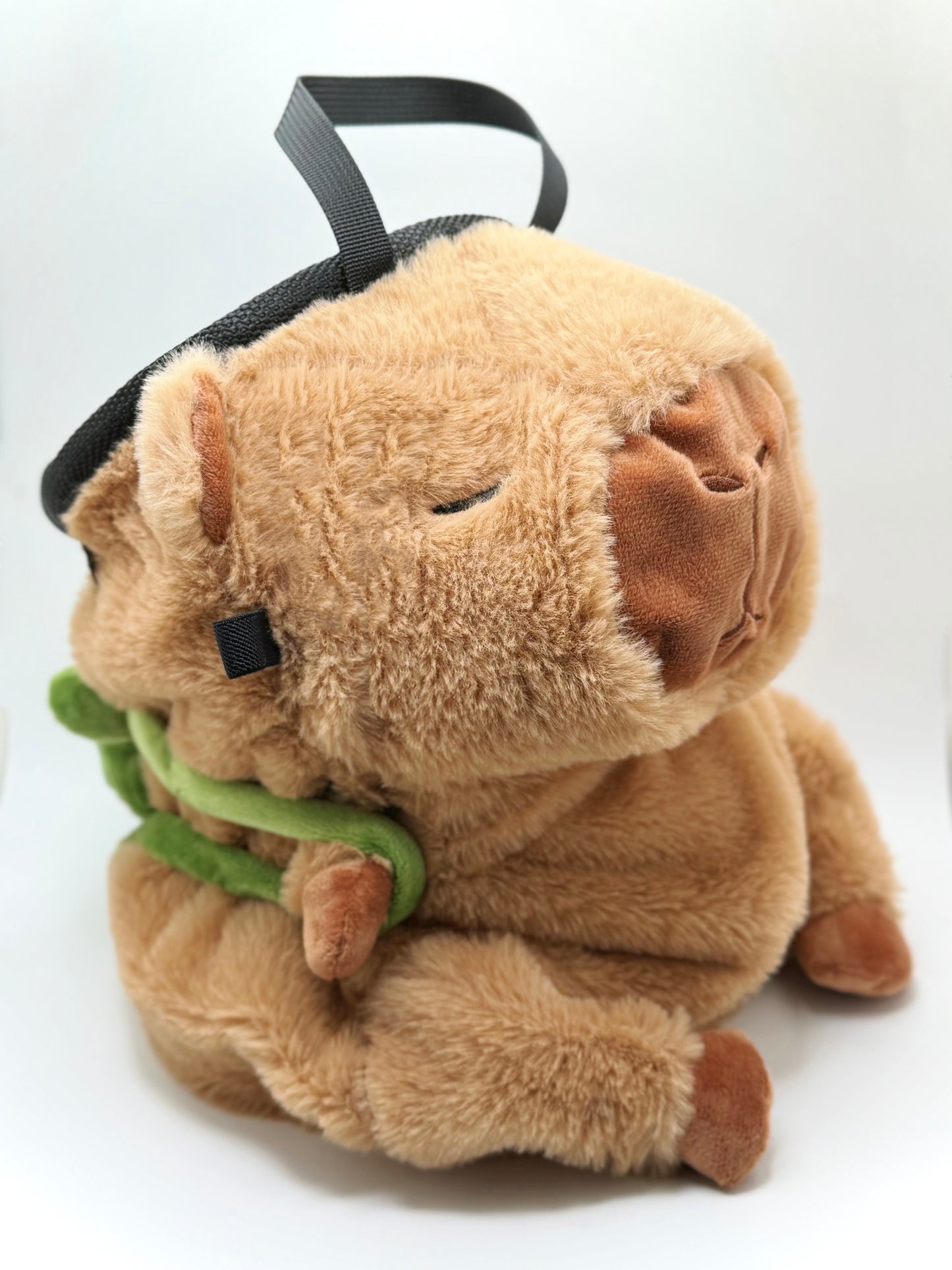capybara turtle climbing chalk bucket chalk bag cute animal