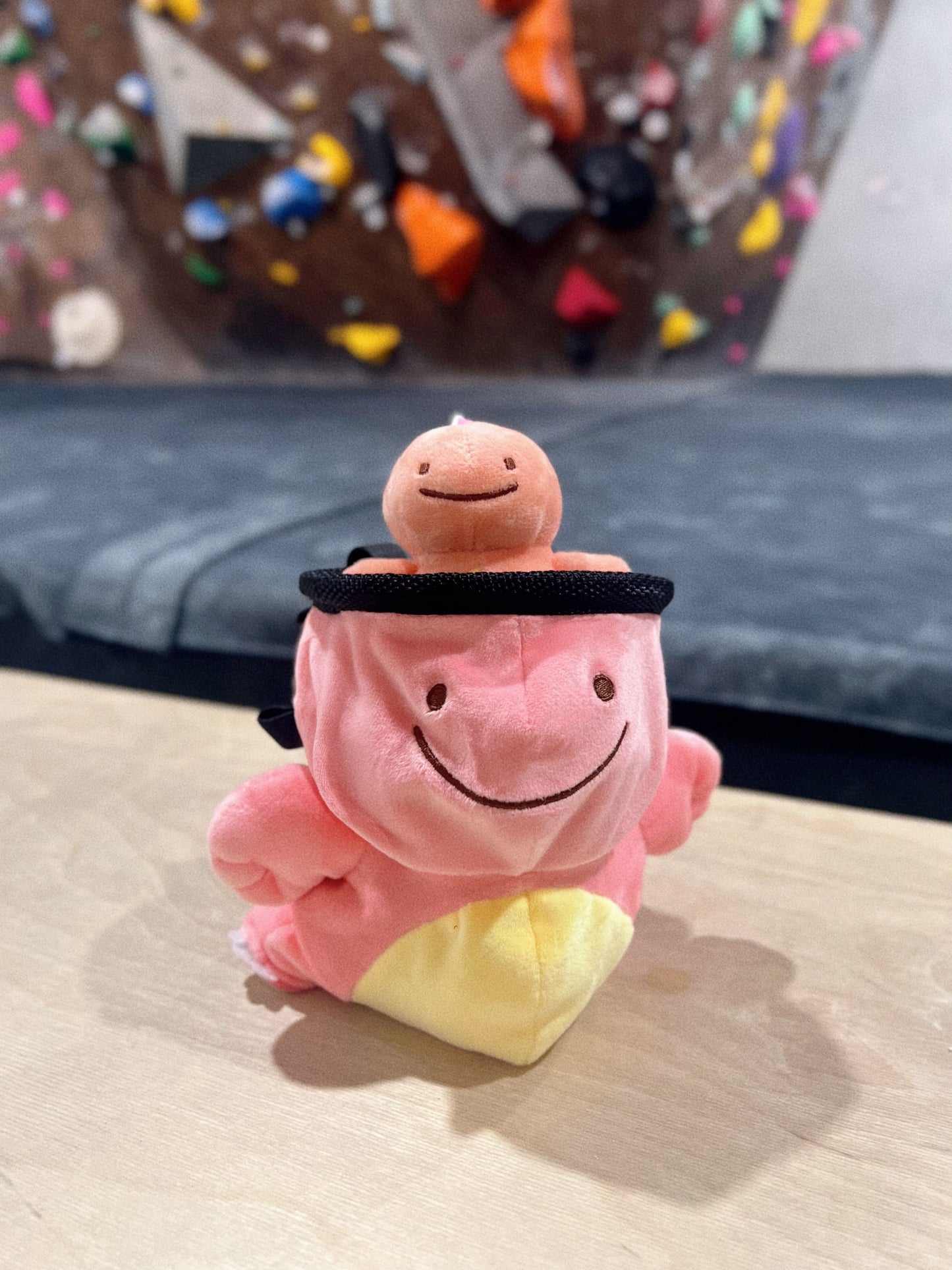 pokemon anime cute Charmander Ditto Chalk Bag For Rock Climbing