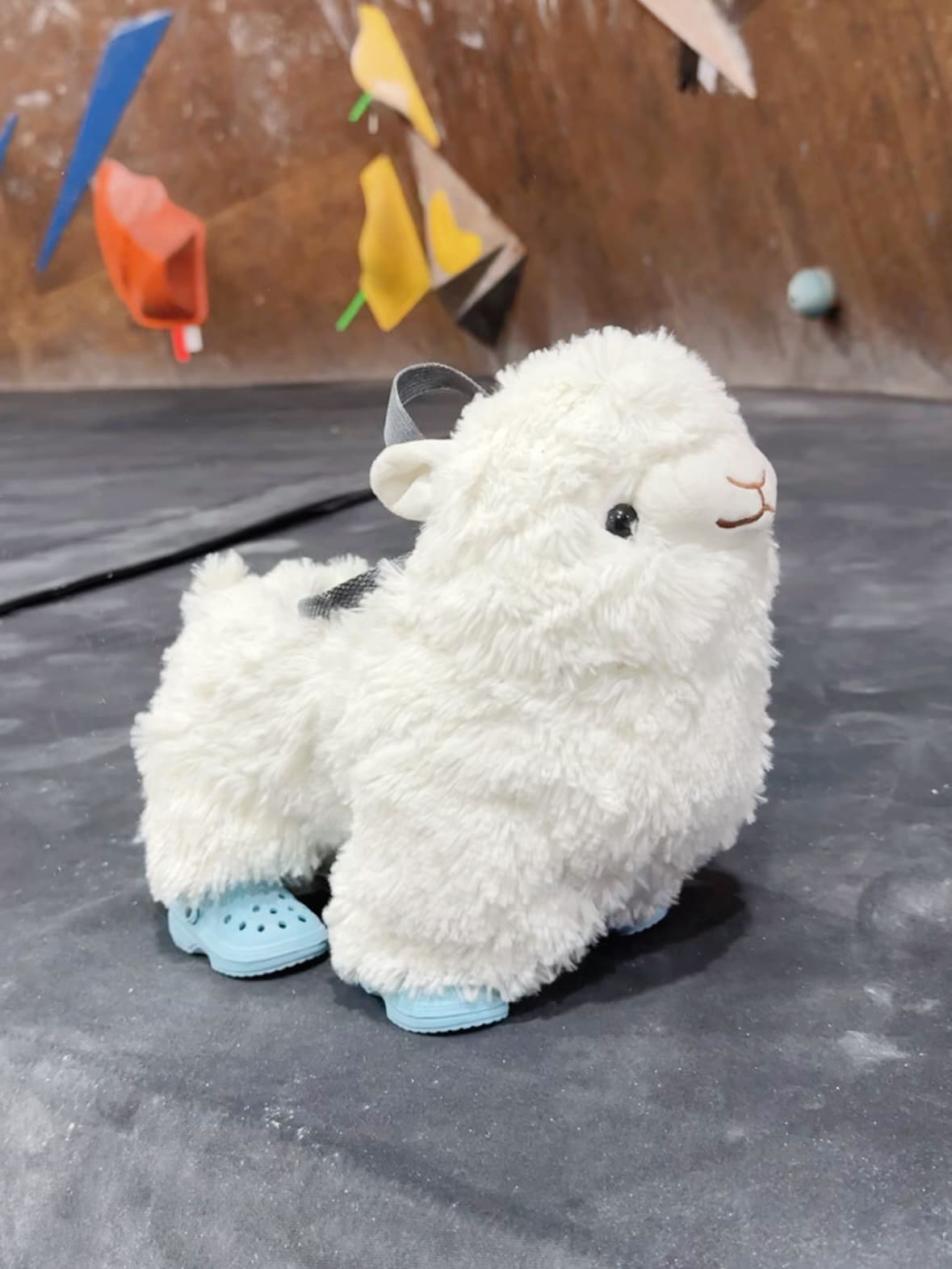 Kellytoy alpaca on sale