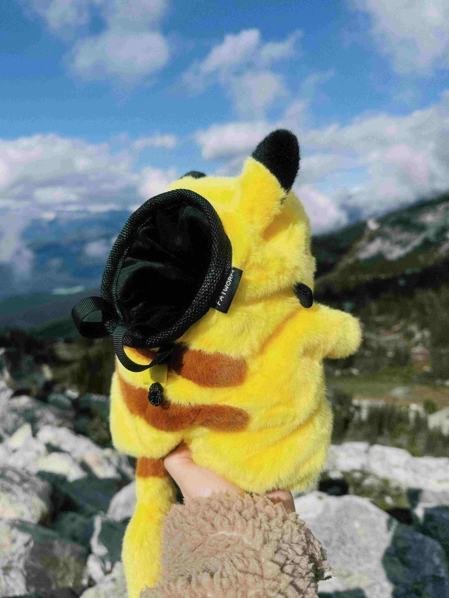 pikachu capybara pokemon pikabara climbing chalk bag plush anime bouldering outdoor