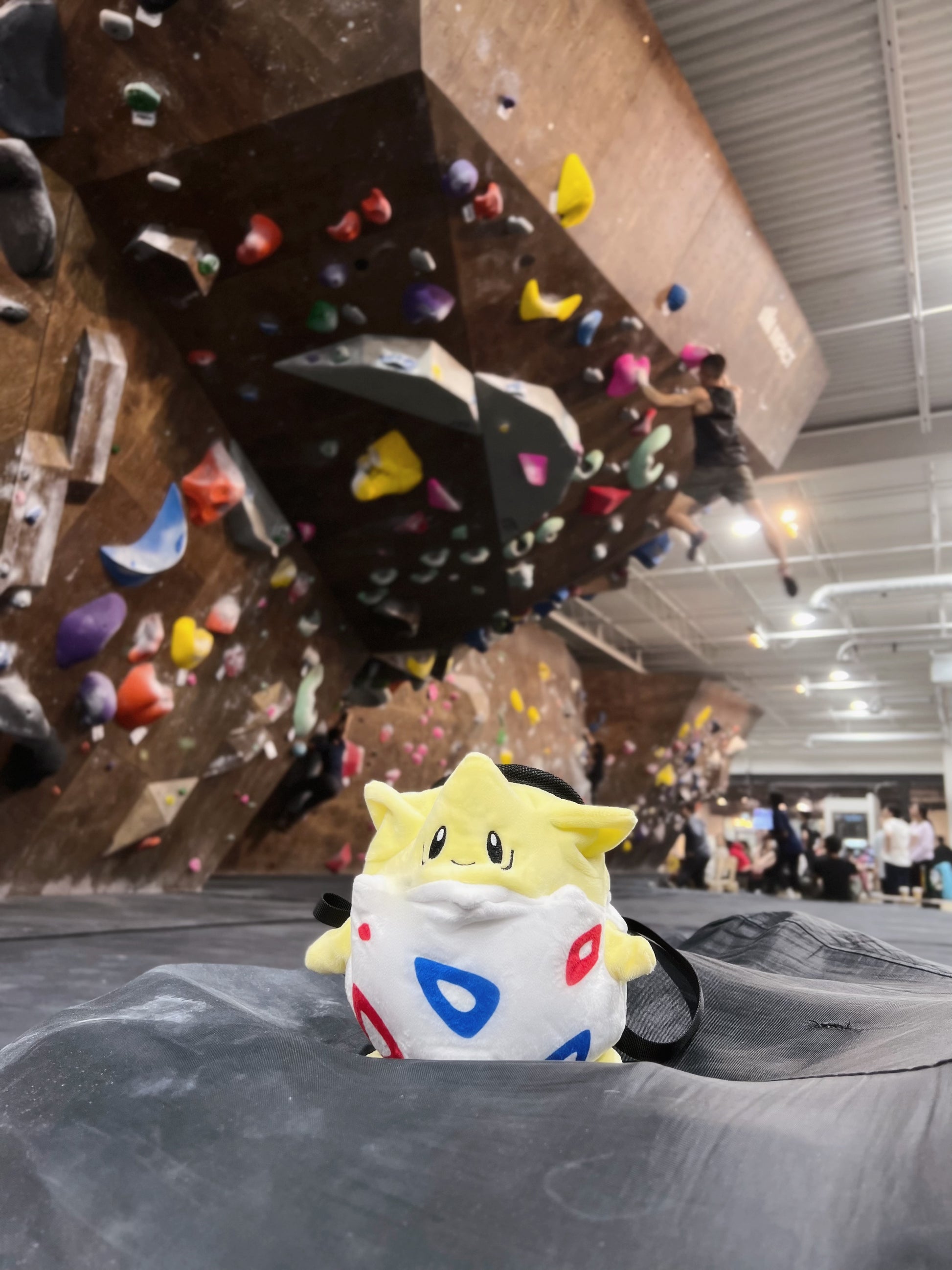 pokemon anime cute Togepi plush chalk bag for rock climbing