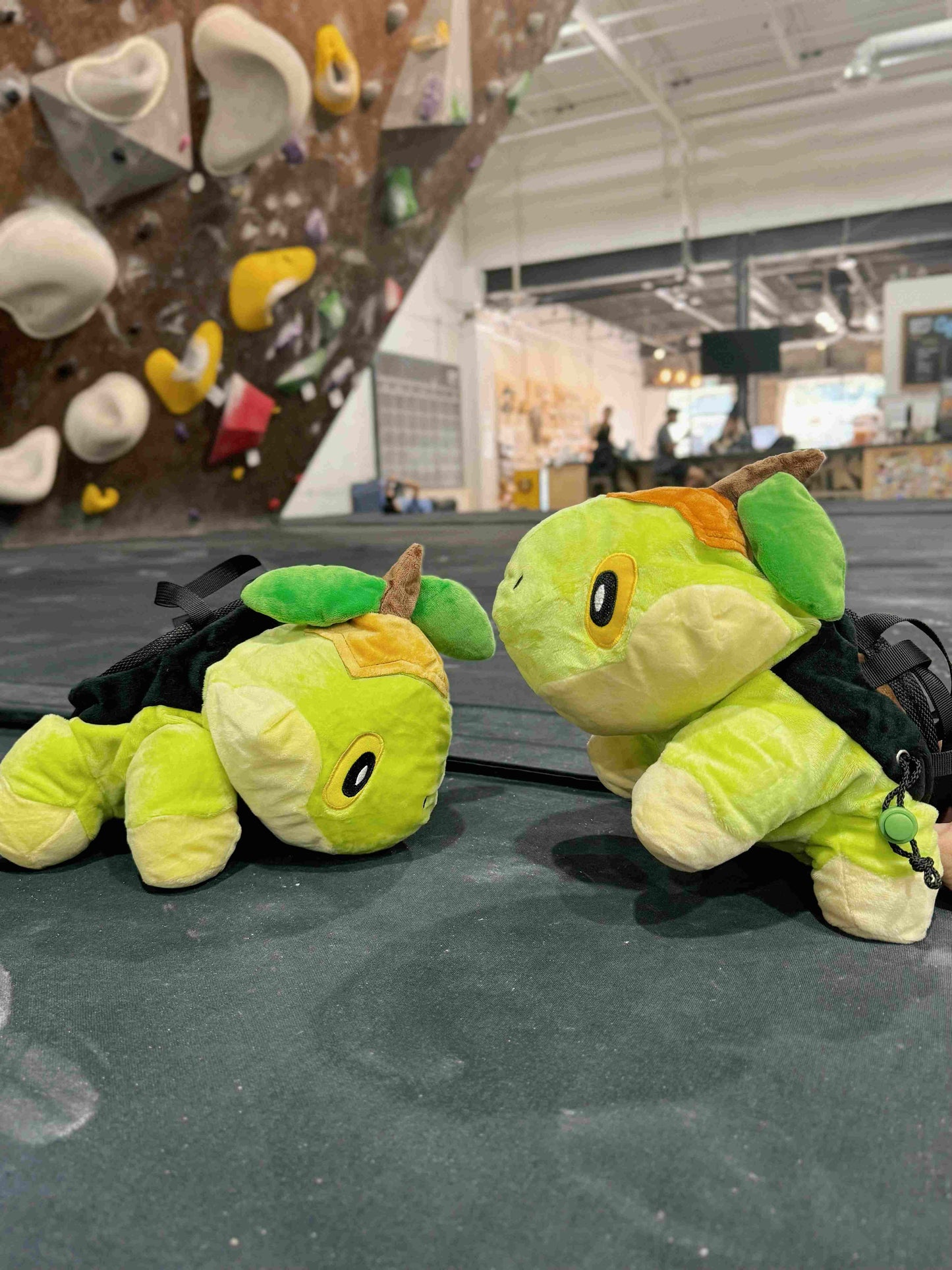 pokemon chalk bag climbing turtwig bouldering bag anime plush climber fatworm