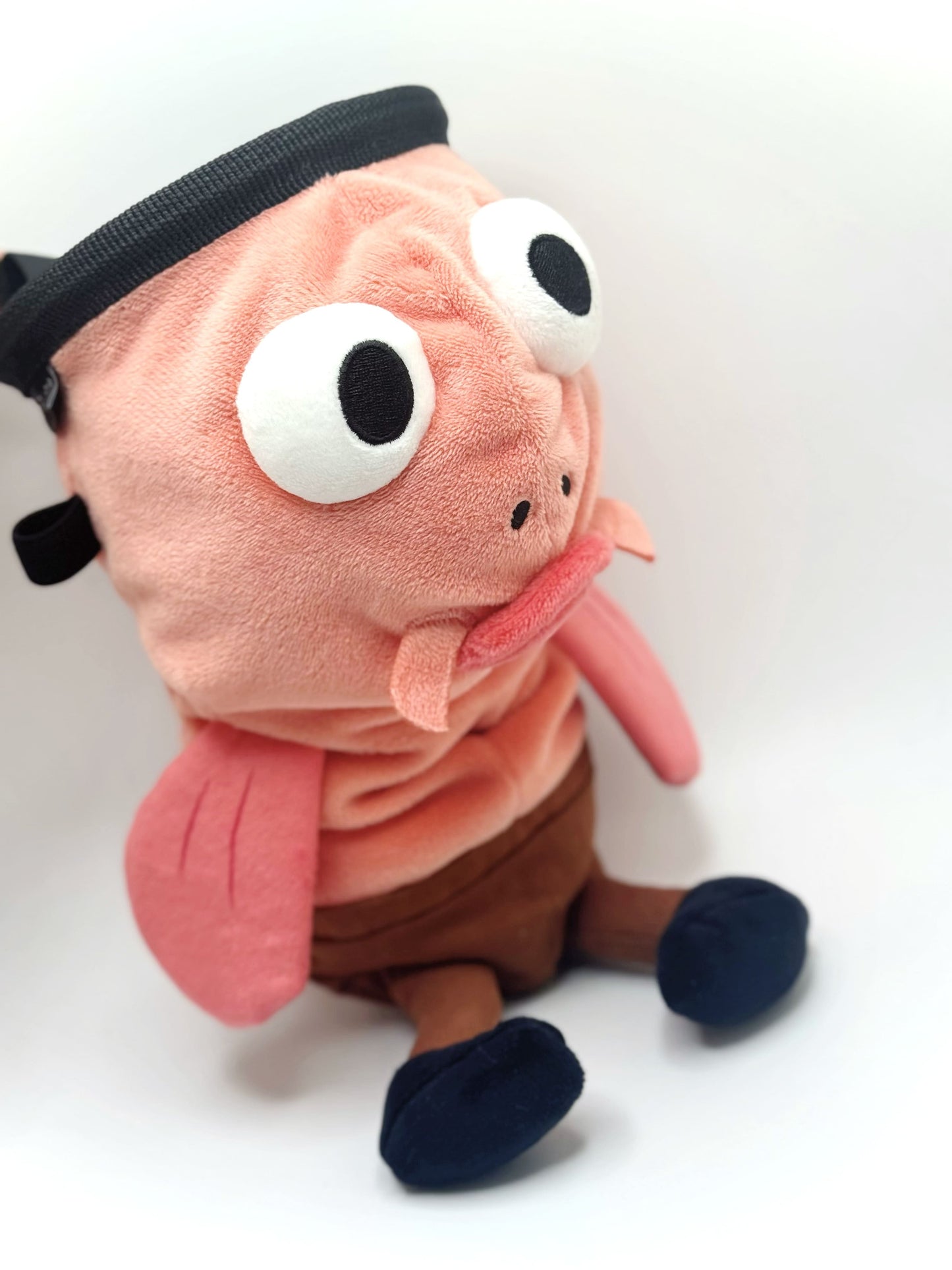 Dazed mocha brown and pink fish design on a cute plush chalk bag for rock climbing. Shows wide shocked eyes,  and a functional stiffened rim. A unique climbing gift for climbers.