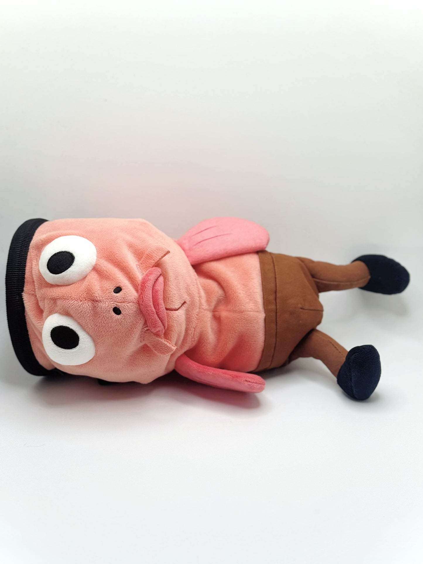 Dazed mocha brown and pink fish design on a cute plush chalk bag for rock climbing. Shows wide shocked eyes,  and a functional stiffened rim. A unique climbing gift for climbers.