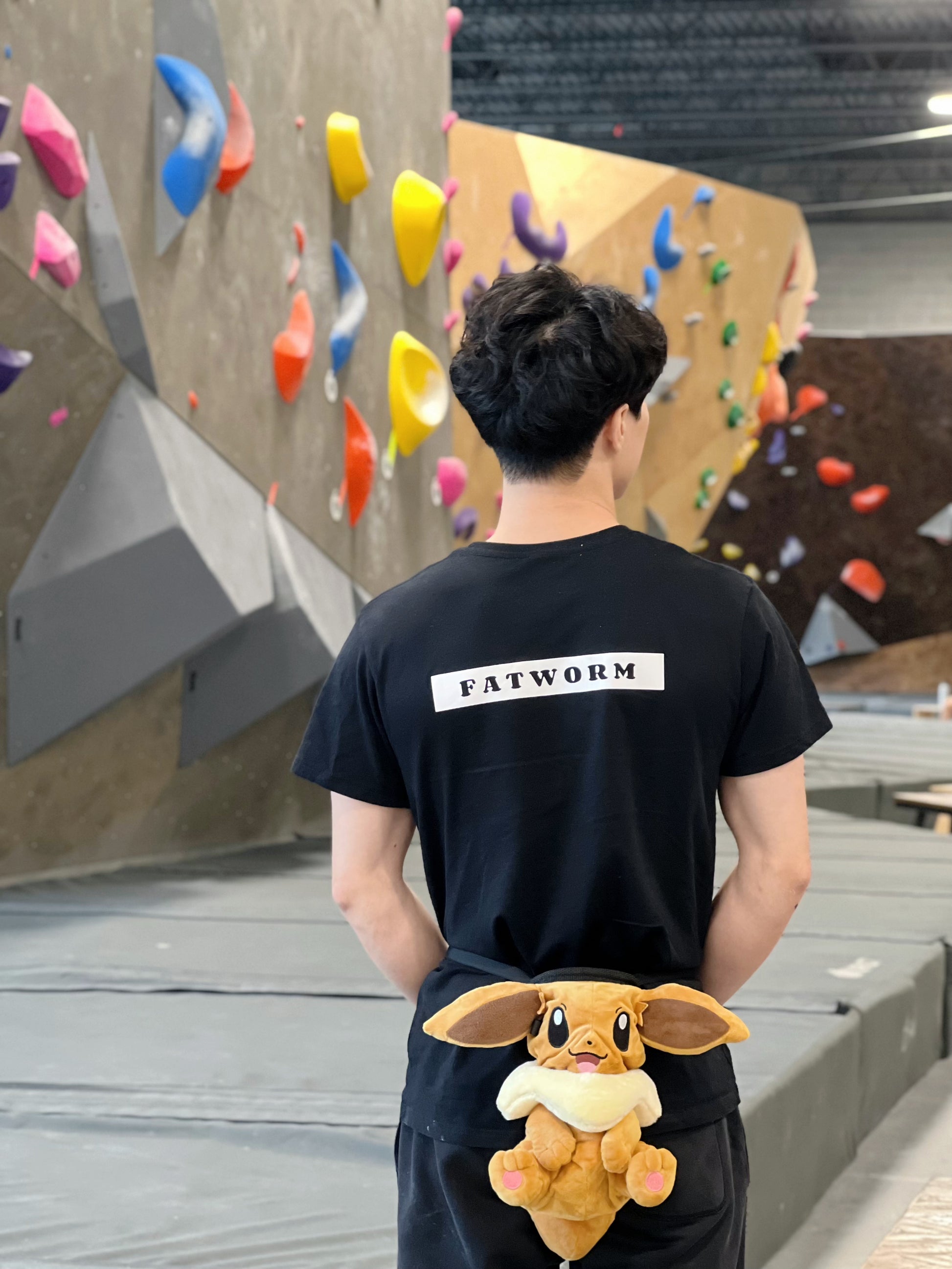 Pokemon anime Eevee plush chalk bag for rock climbing