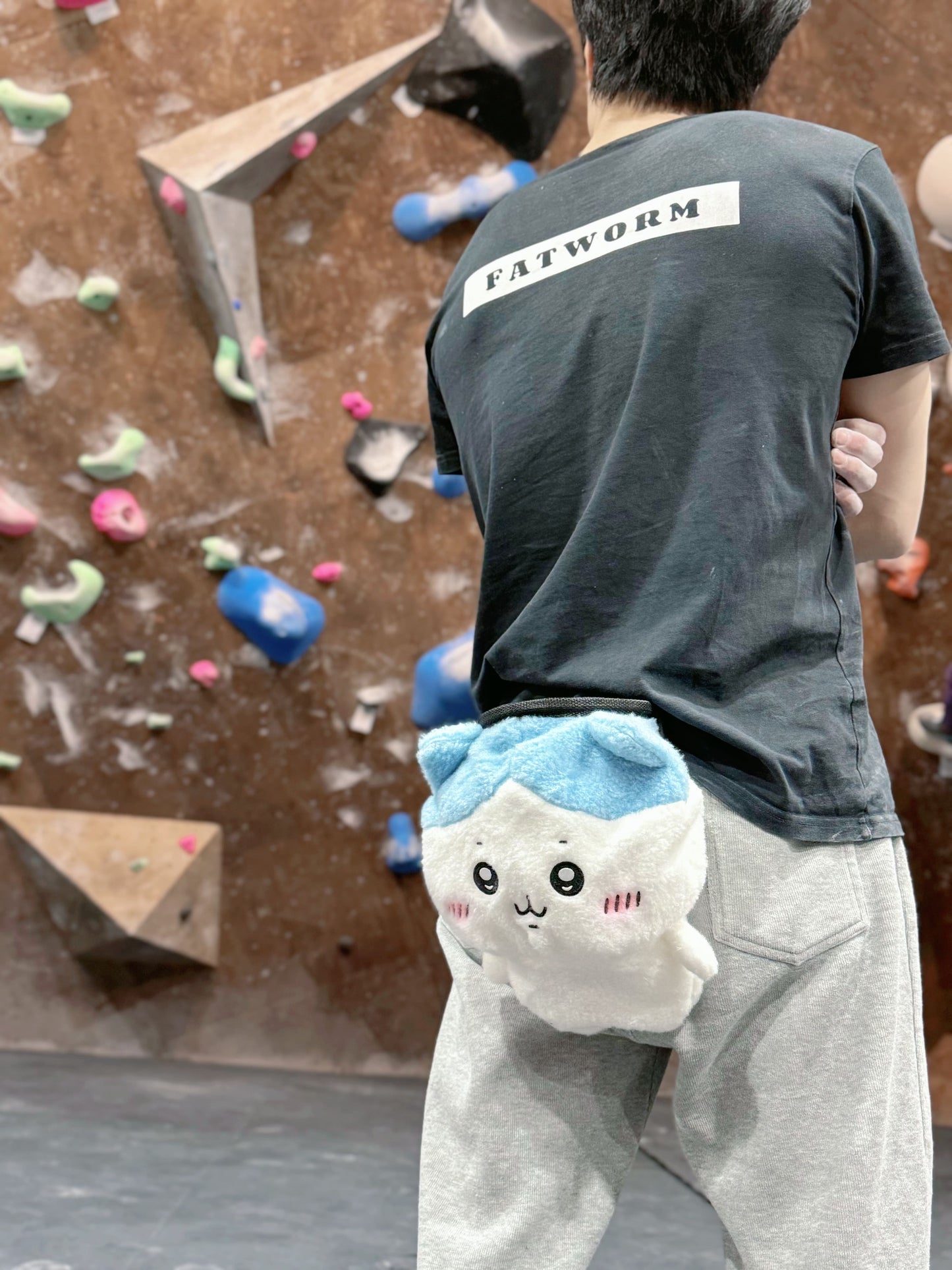 Chiikawa Usagi Hachiware Chalk Bag
