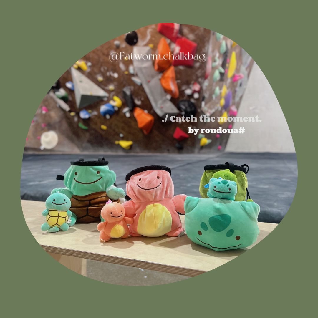 Ditto Pokemon bulbasaur Chalk Bag for Rock Climbing