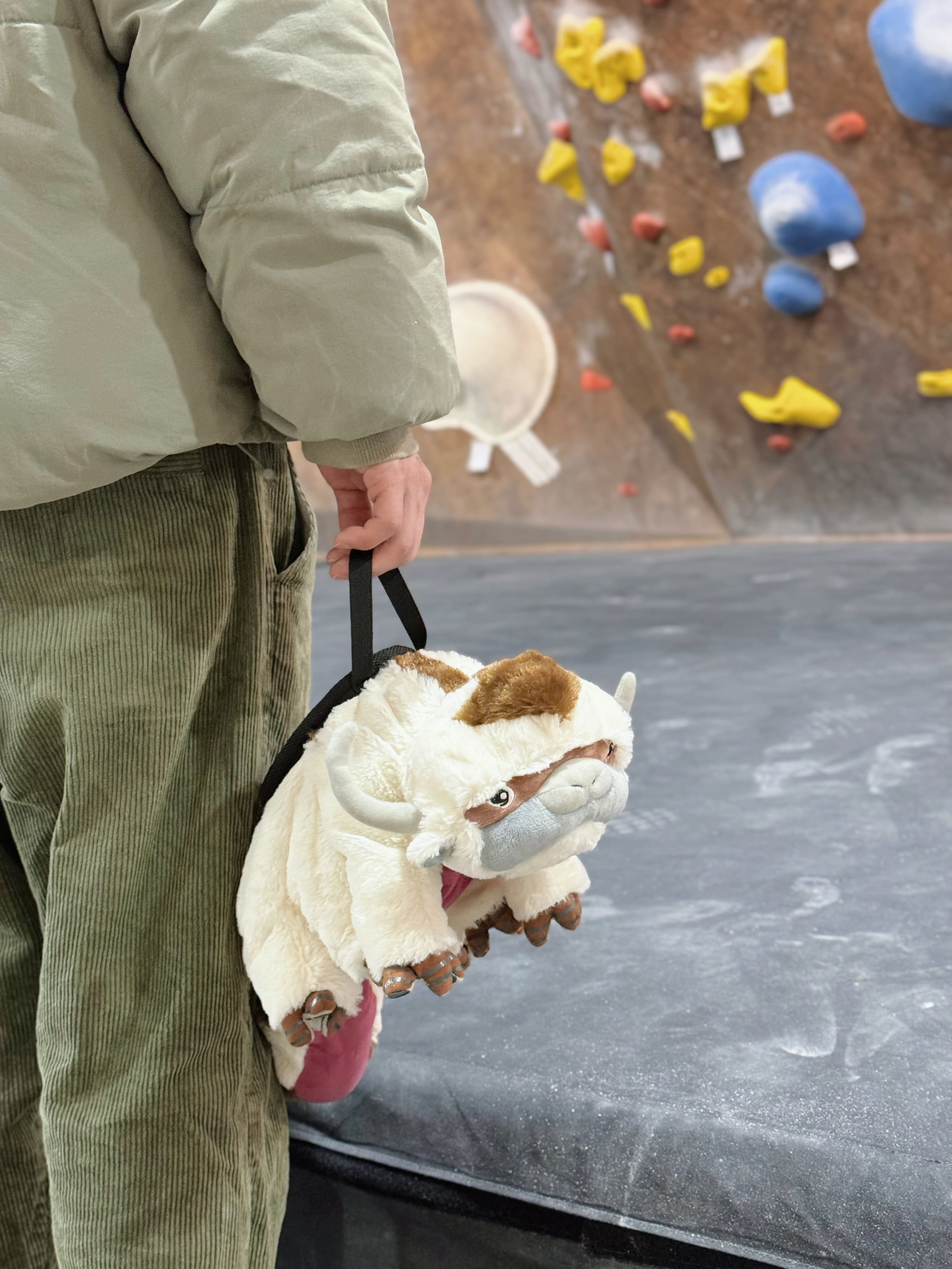 Appa Chalk Bag Bouldering Bag Appa Chalk Bag Bouldering Bag