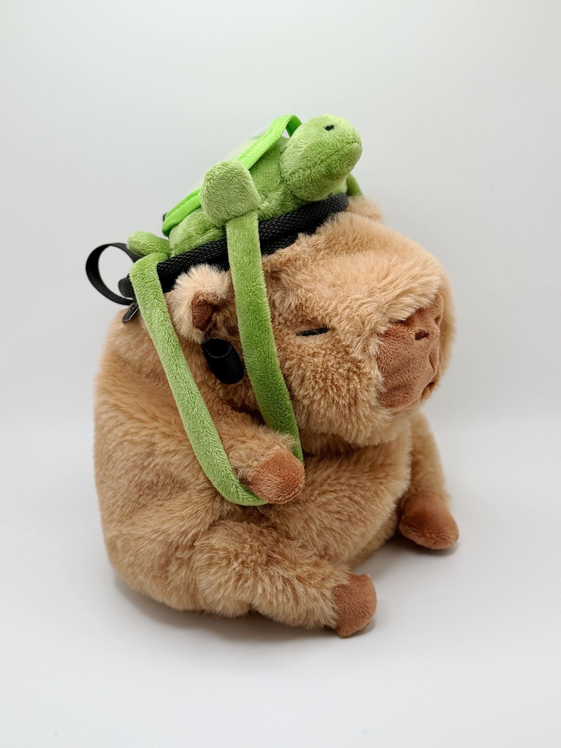 Capybara with Mr.Turtle Chalk Bag