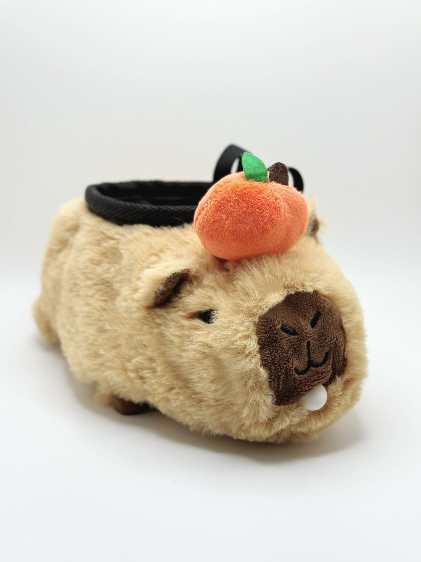 Happy Capybara with Bubble Gum Chalk Bag