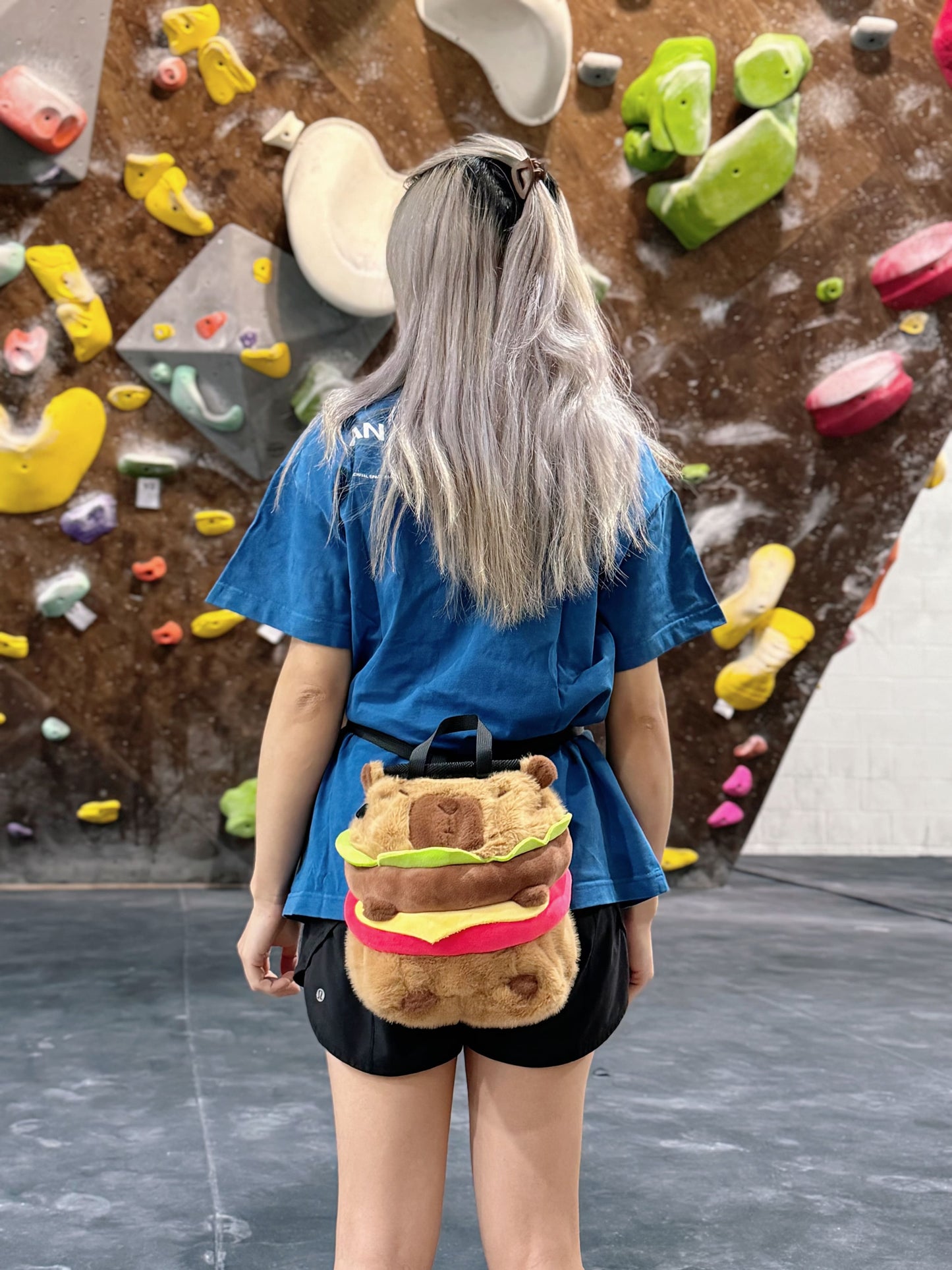 capybara climbing chalk bag chalk bucket bouldering bag burger hamburger climbing gym