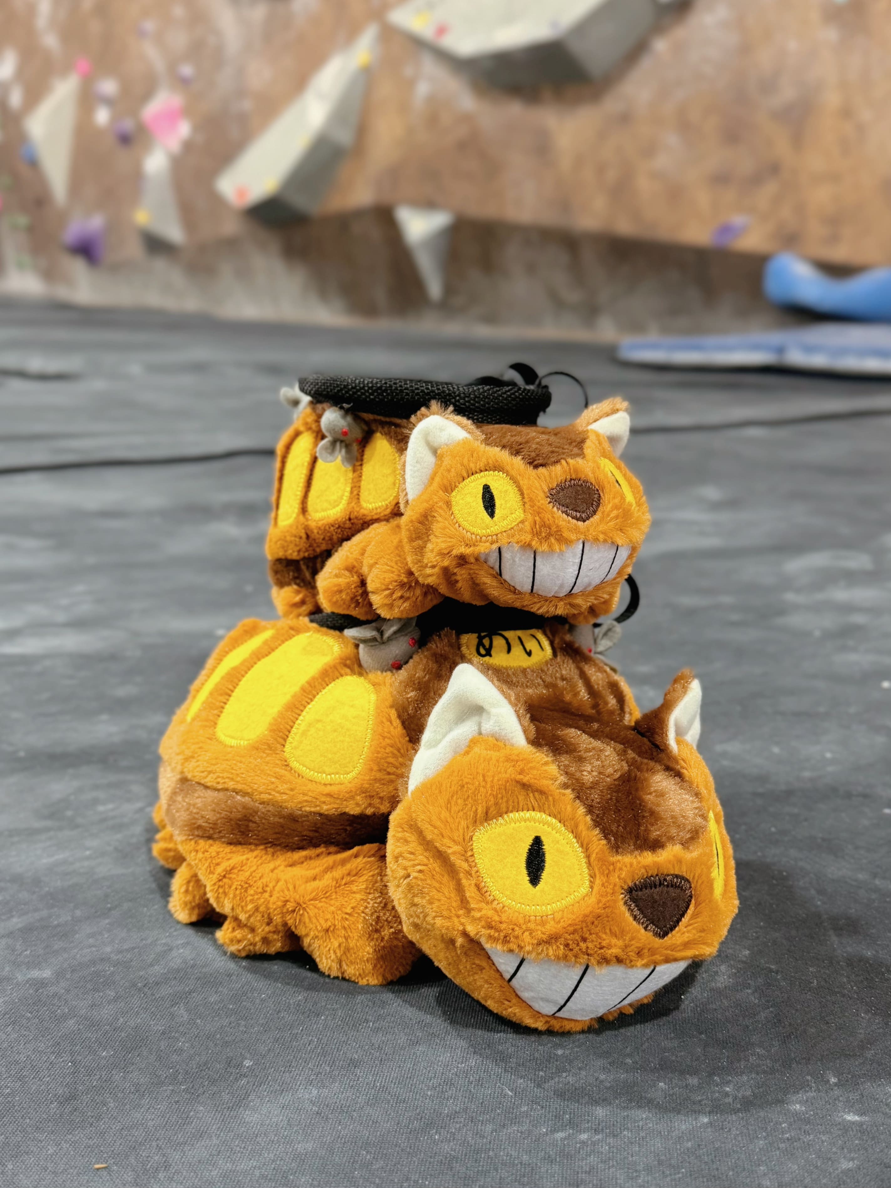 Catbus Chalk Bag