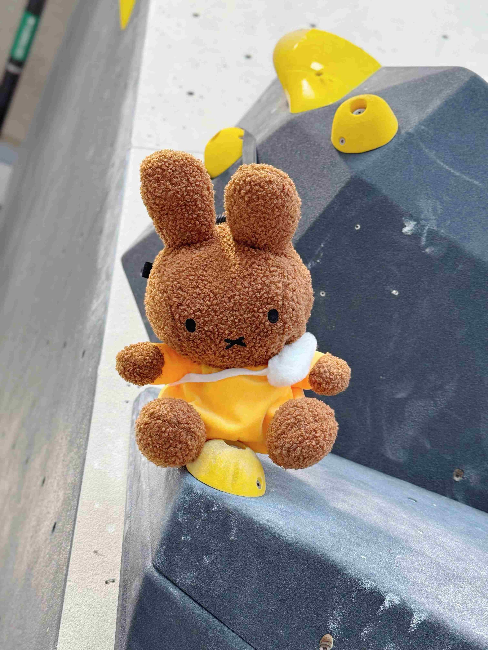A cute anime plush chalk bag by FATWORM featuring a brown Mocha Bunny wearing a yellow dress. This functional and fluffy bouldering accessory is handmade for bouldering and climbing for rock climbing, offering a long-durable design that makes the perfect climbing gift for a climber.