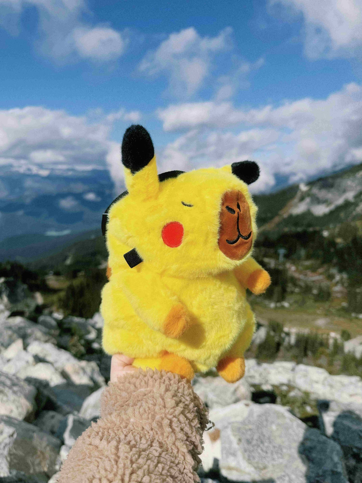 pikachu capybara pokemon pikabara climbing chalk bag  plush anime bouldering outdoor 