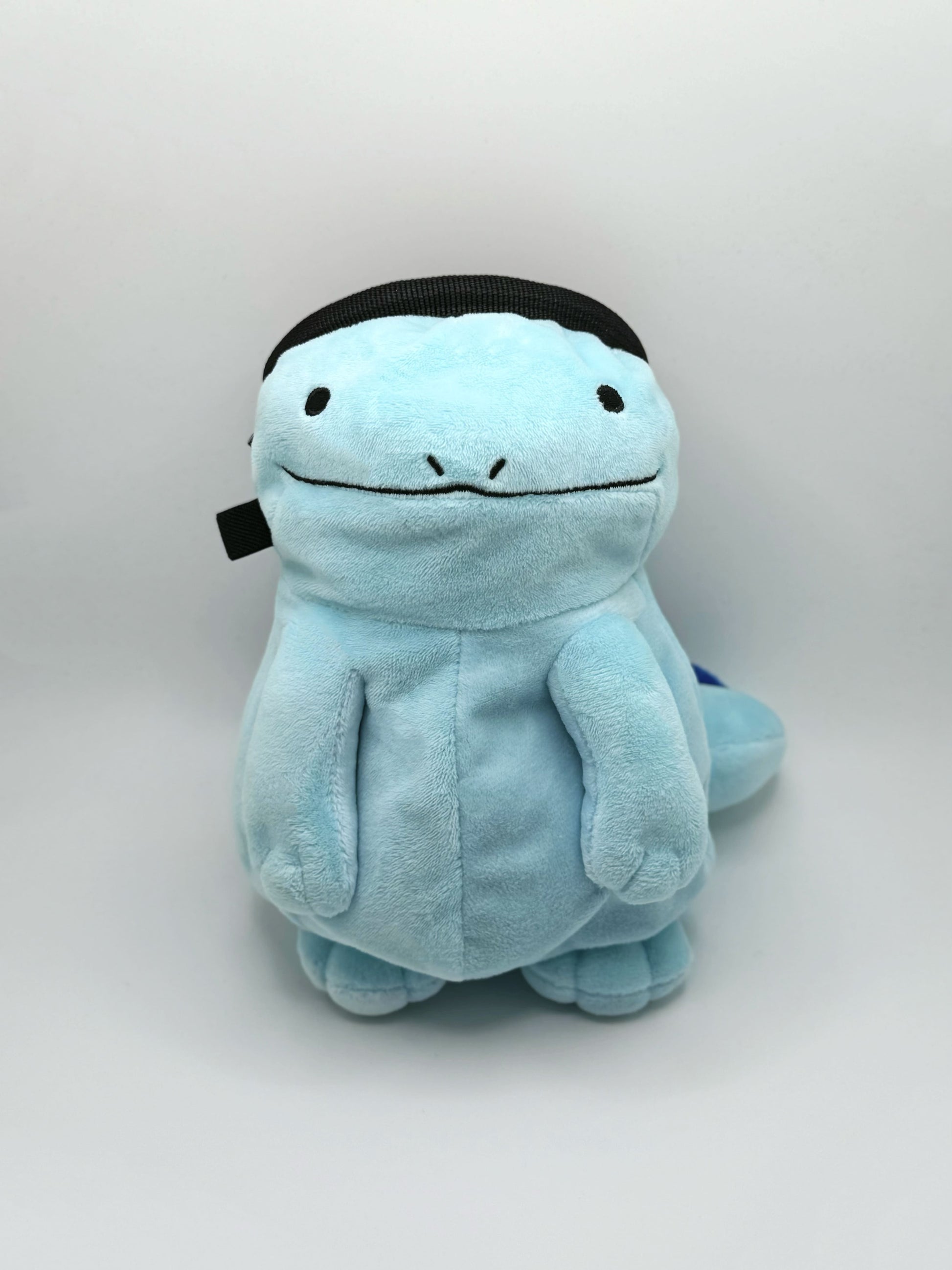 pokemon quagsire climbing chalk bag cute anime plush bouldering fatworm gengar magikarp