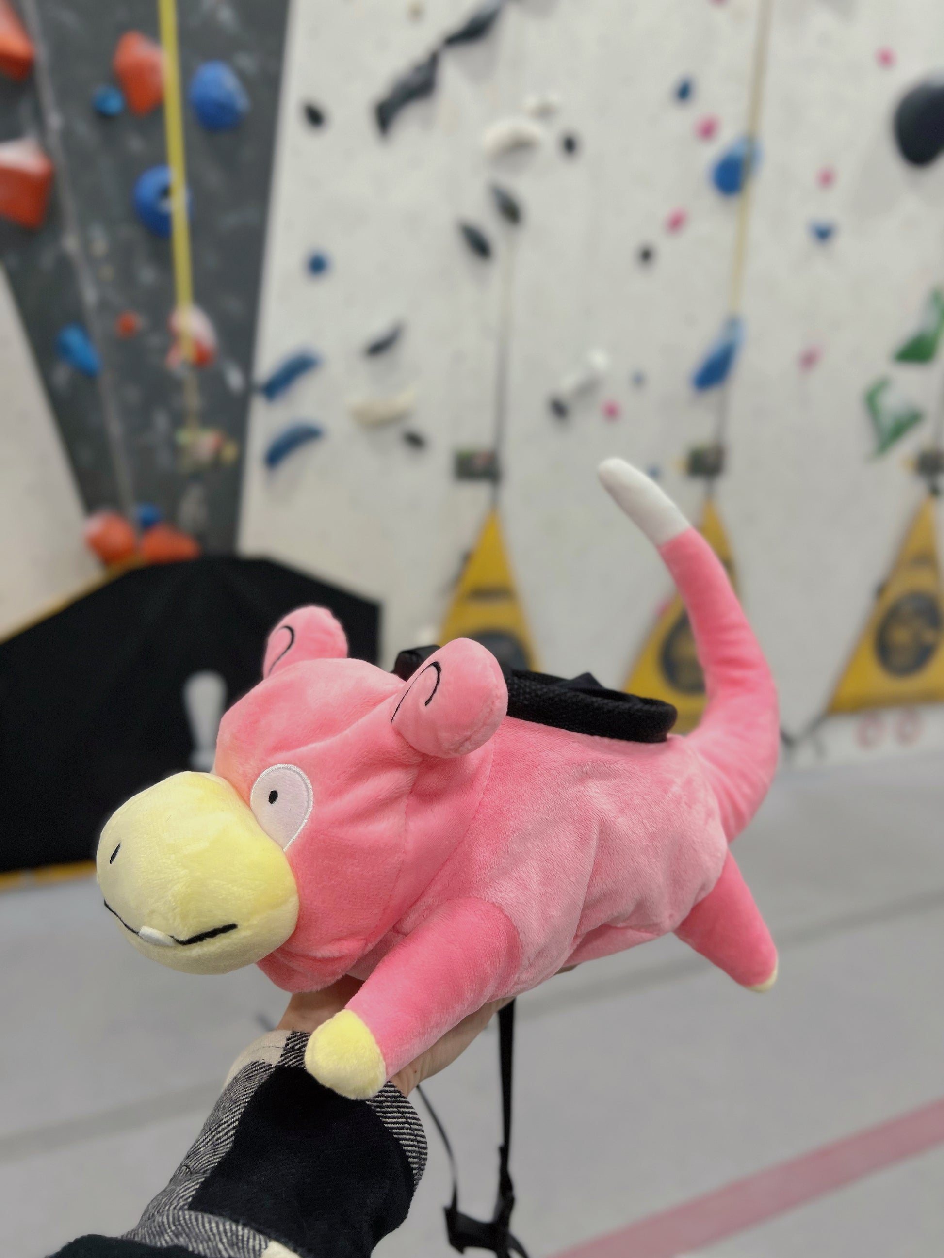pokeme anime cute Slowpoke plush chalk bag for rock climbing
